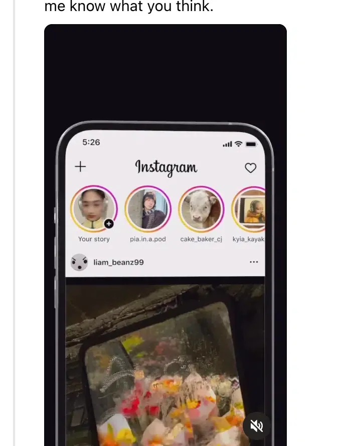 How to Forward or Share an Instagram Story