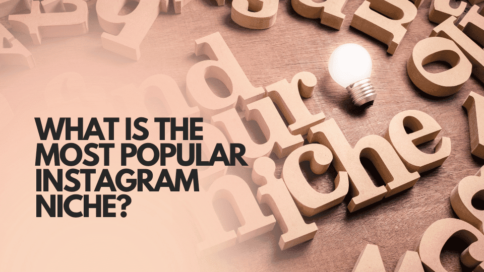 What is the Most Popular Instagram Niche?