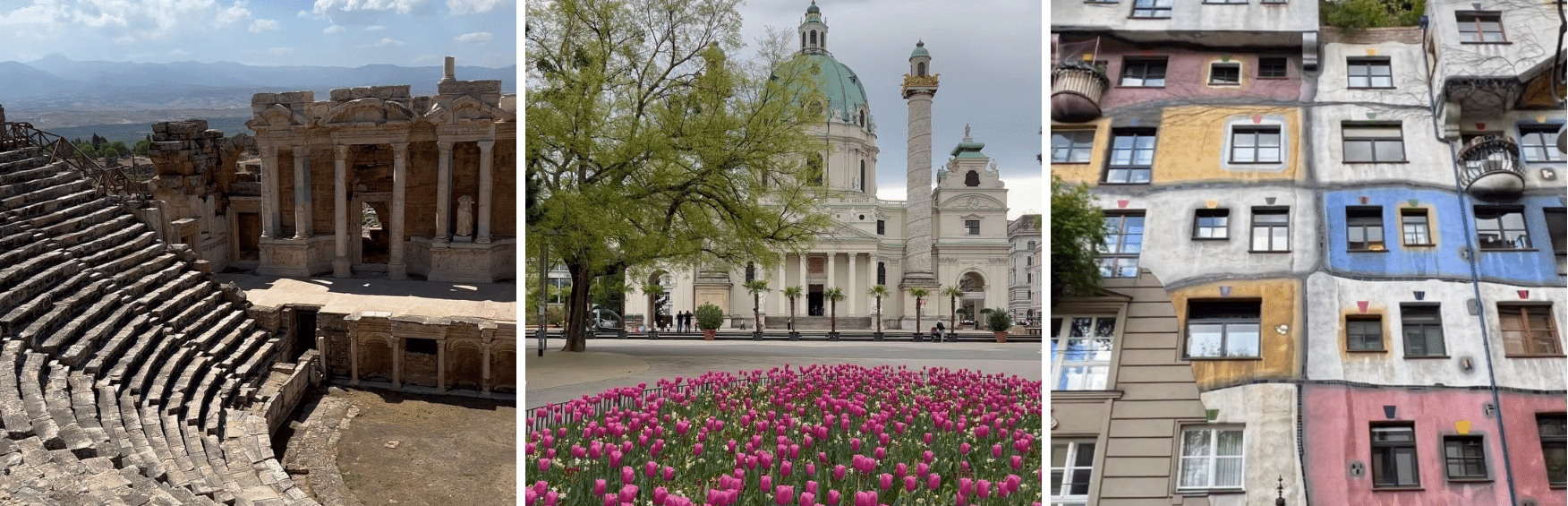 A collage of pictures of buildings and tulips.