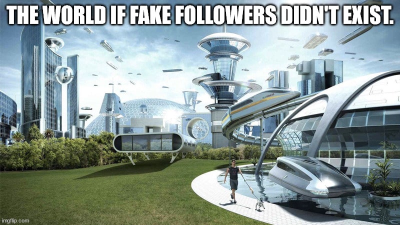 The world if fake followers don't exist.