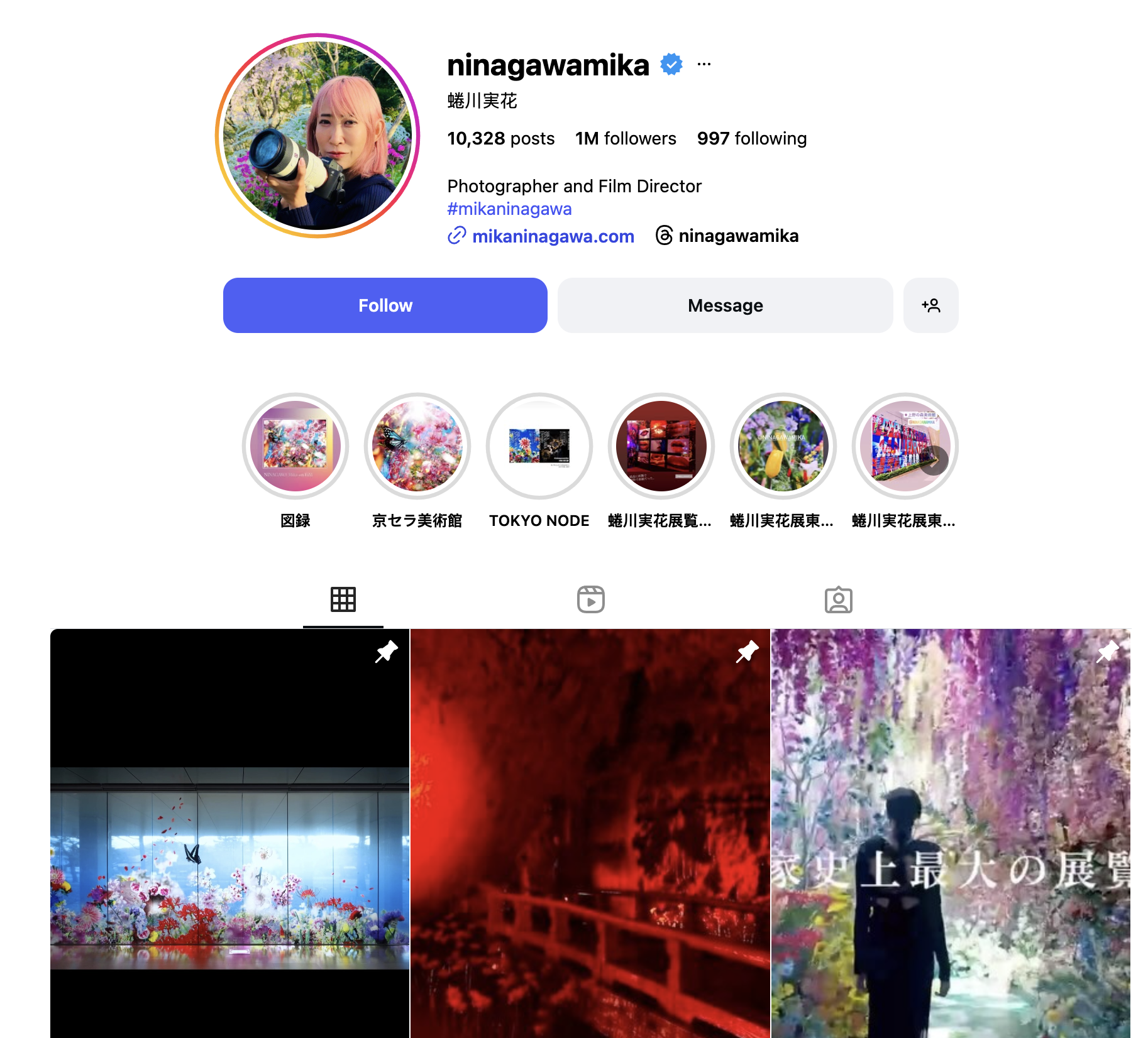 Who Is Mika Ninagawa? 1 Instagram profile of nina gawamika, a photographer and film director, showing profile photo, bio, highlighted stories, and a grid of colorful, artistic posts.