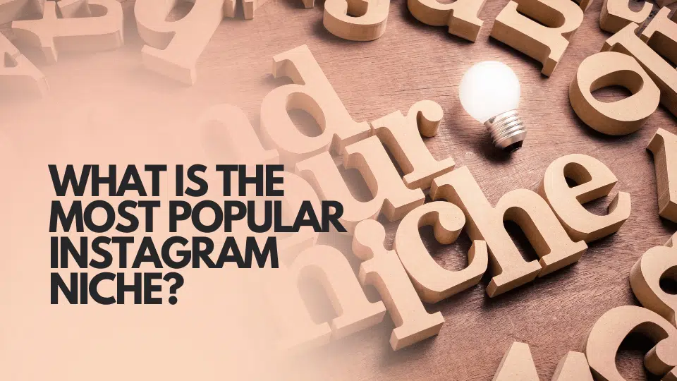 What is the Most Popular Instagram Niche? High-Engagement Niches