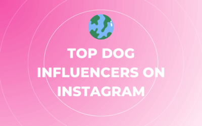 Willkommen in unserem Influencer Marketing Hub 7 Top Dog Influencers on Instagram